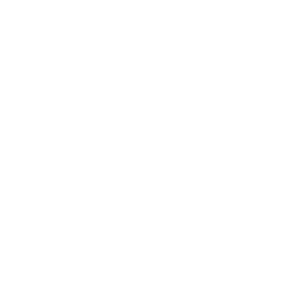 9001_ENAC_Castellano-00