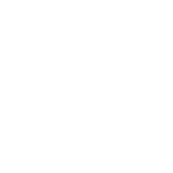 elecnor